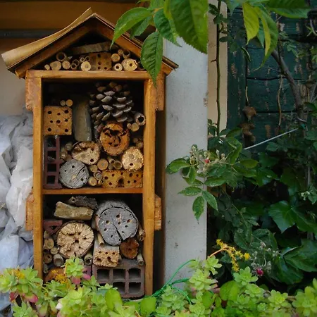 La Corte Del Frate Casa vacanze Panzano in Chianti